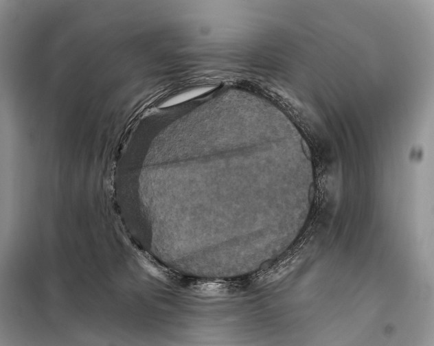 X0000097910325200804111120