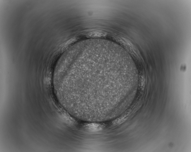 X0000097910326200804111120