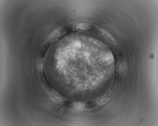 X0000097910328200804111120