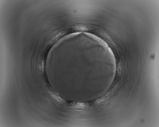 X0000097910330200804111120