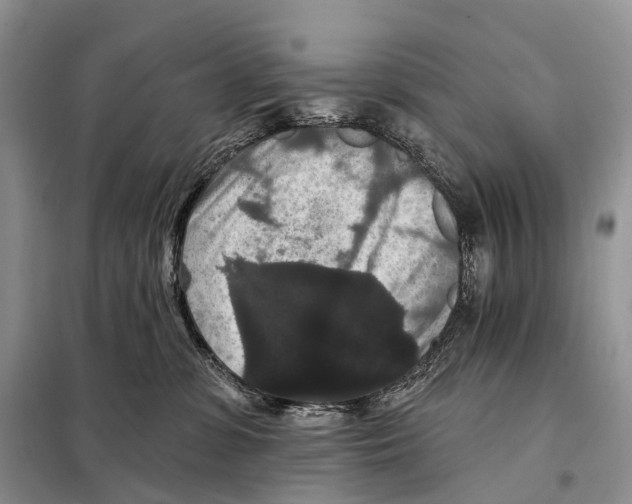 X0000097910331200804111120