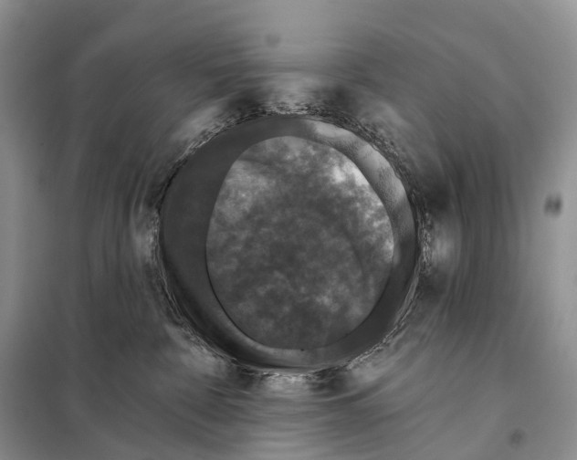 X0000097910332200804111120