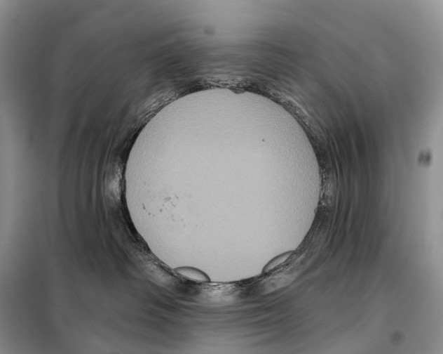 X0000097910334200804111120