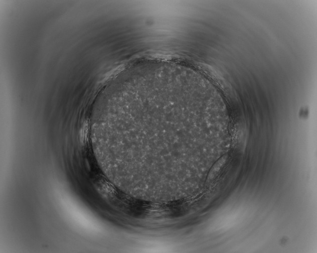 X0000097910335200804111120