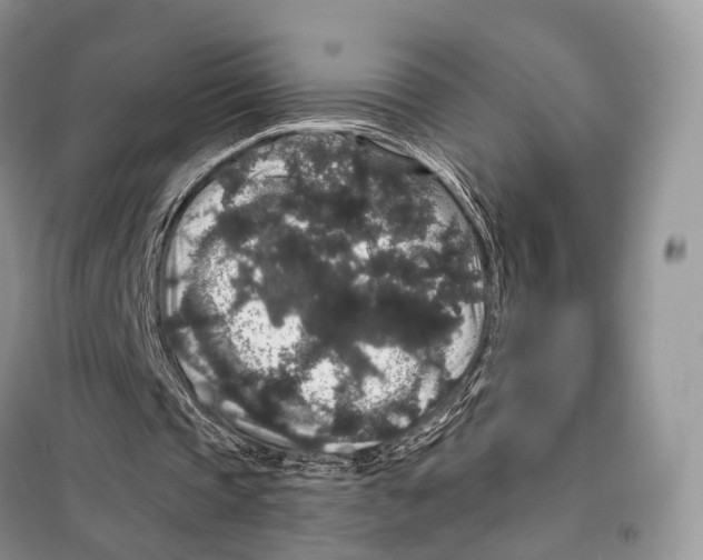 X0000097910337200804111119