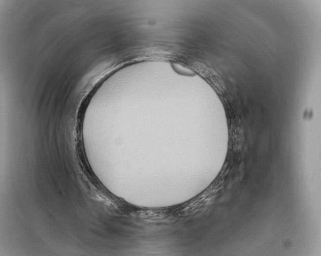 X0000097910338200804111119