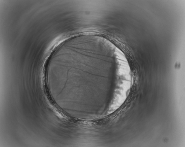 X0000097910339200804111119