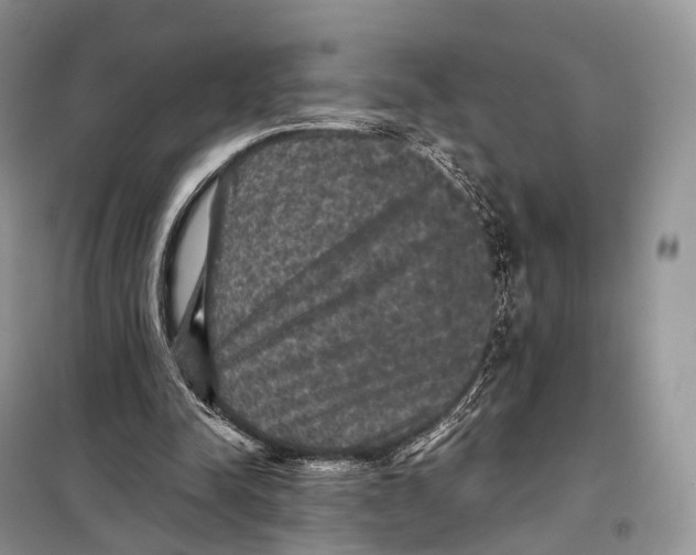 X0000097910342200804111119