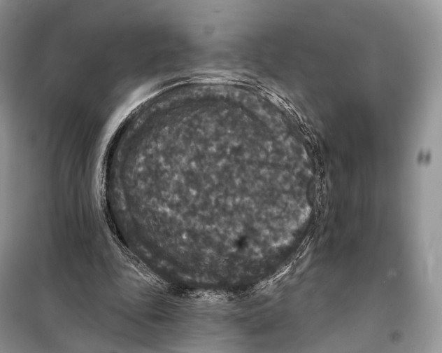 X0000097910343200804111119