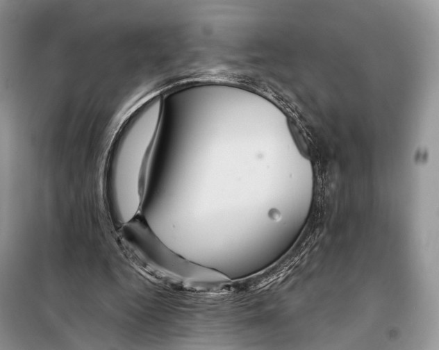 X0000097910344200804111119