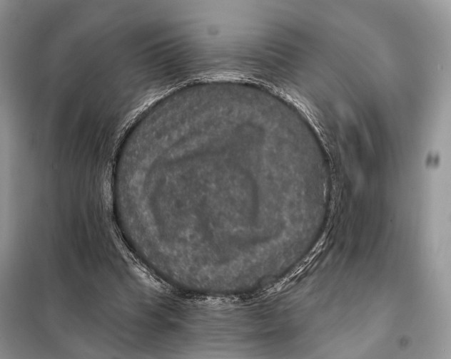 X0000097910345200804111119