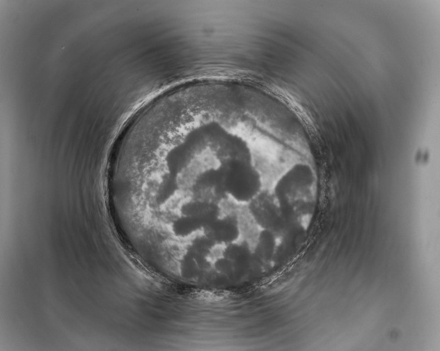 X0000097910346200804111119