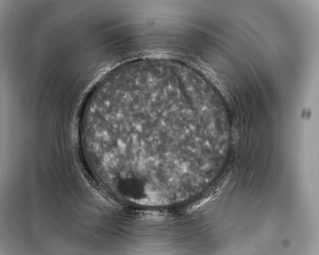 X0000097910347200804111119