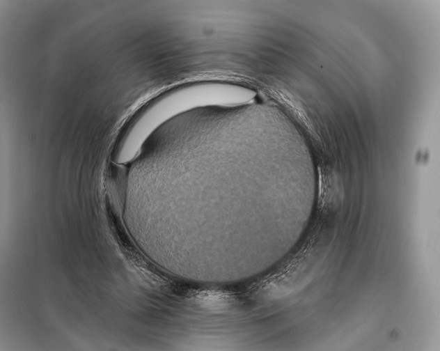 X0000097910348200804111119