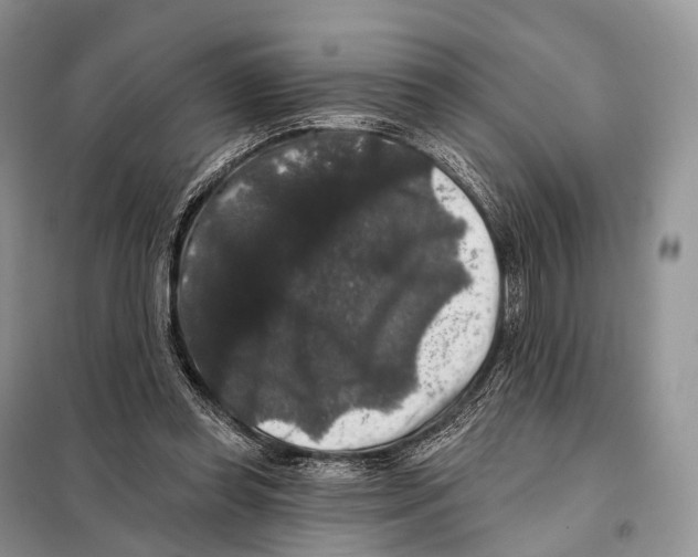 X0000097910349200804111119