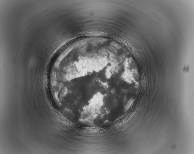 X0000097910351200804111119