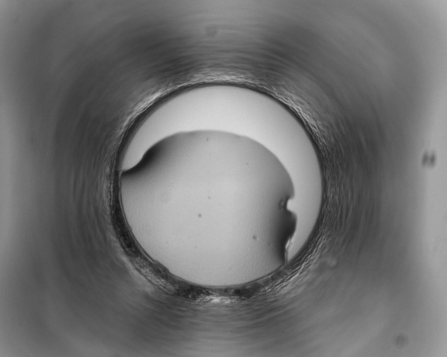 X0000097910352200804111119