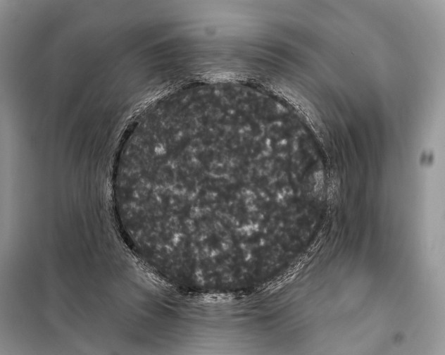 X0000097910353200804111119