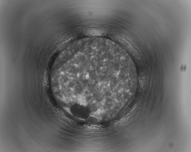 X0000097910359200804111119