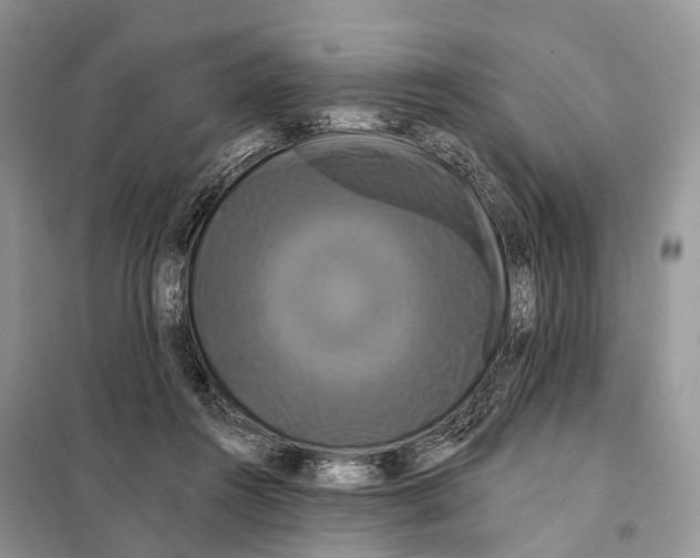 X0000097910360200804111119