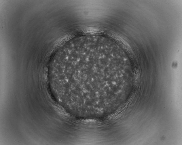 X0000097910361200804111119