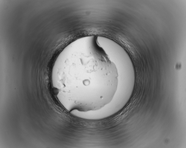 X0000097910362200804111119