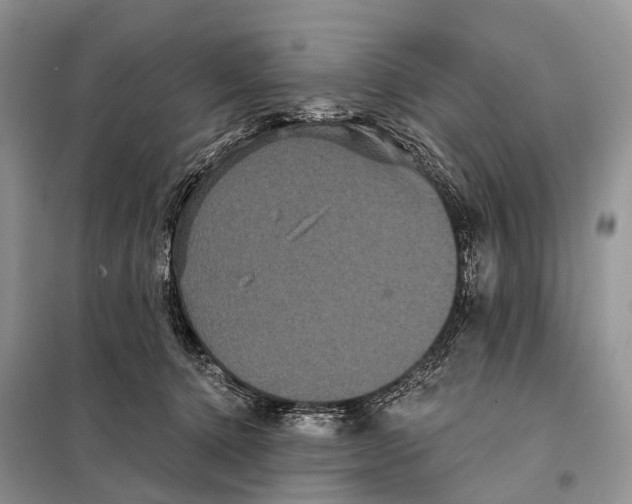 X0000097910368200804111119