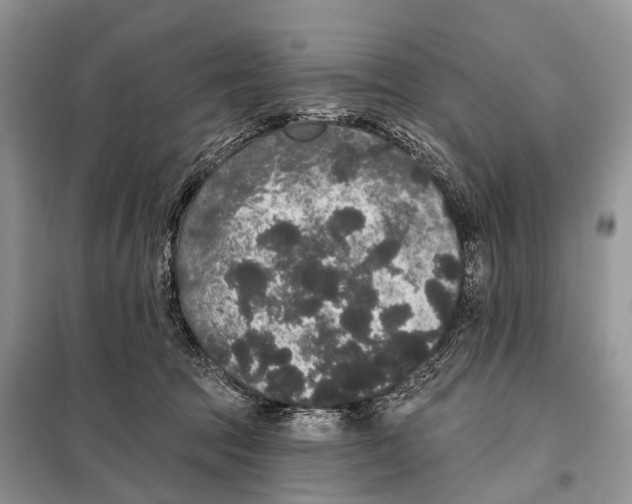 X0000097910369200804111119