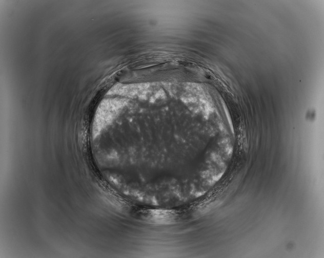 X0000097910371200804111119