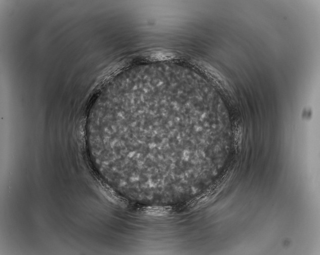 X0000097910373200804111119