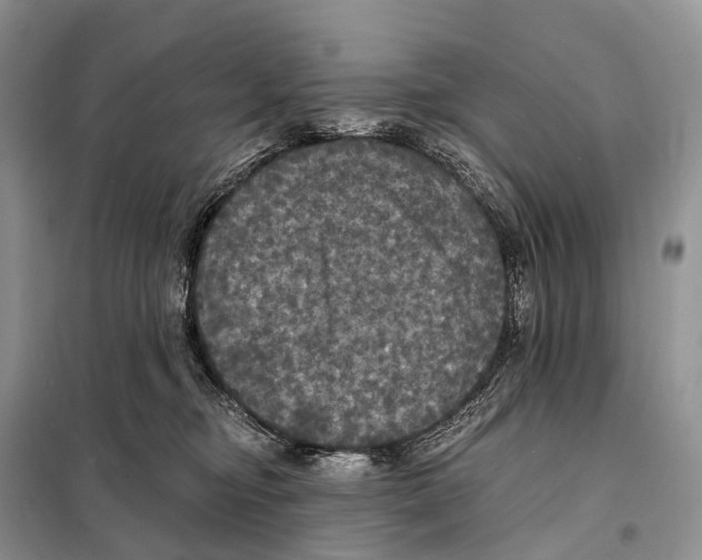 X0000097910374200804111119