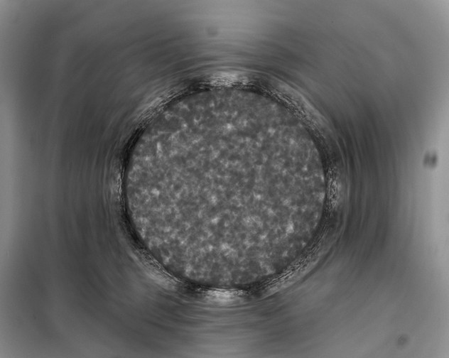 X0000097910375200804111120