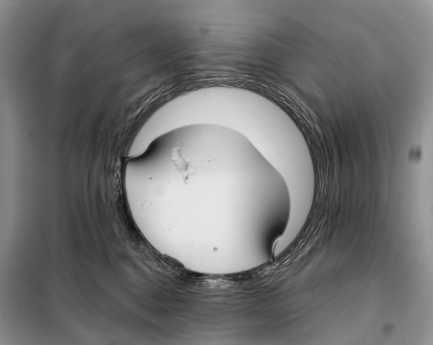 X0000097910376200804111120