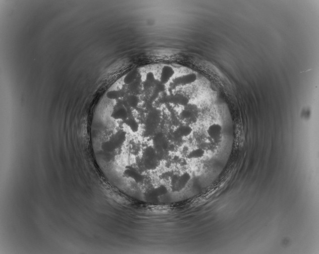 X0000097910377200804111120