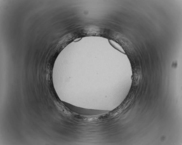 X0000097910379200804111120