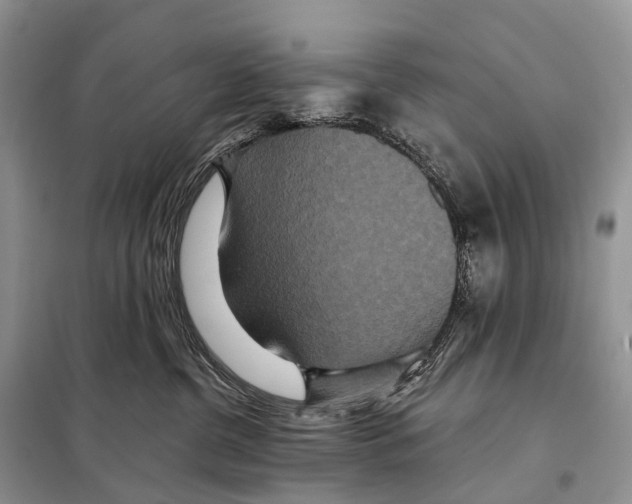 X0000097910380200804111120