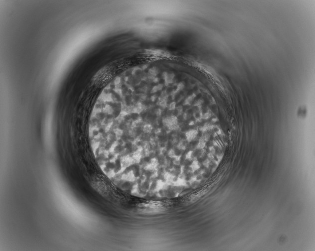 X0000097910381200804111120