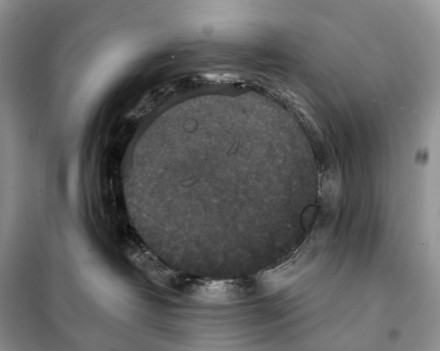 X0000097910382200804111120