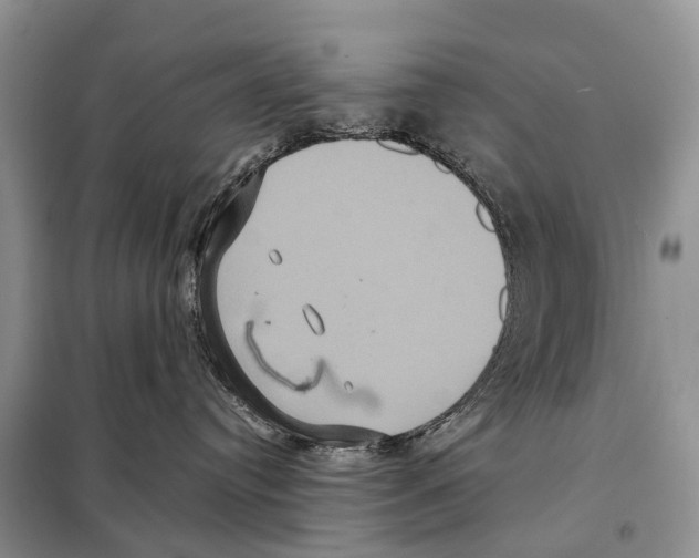 X0000097910384200804111120