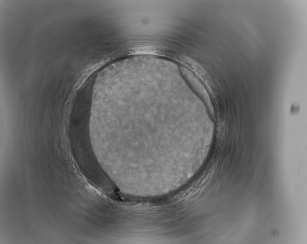 X0000097910385200804111119