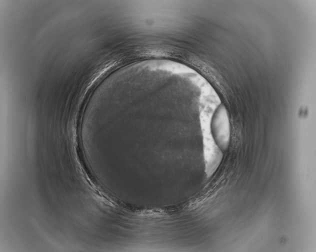 X0000097910386200804111119