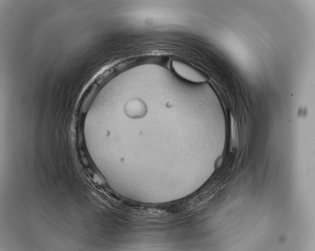 X0000097910387200804111119