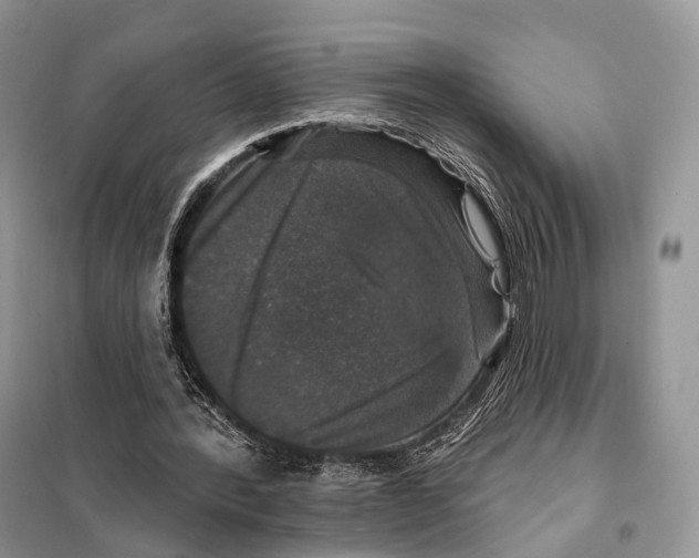 X0000097910388200804111119