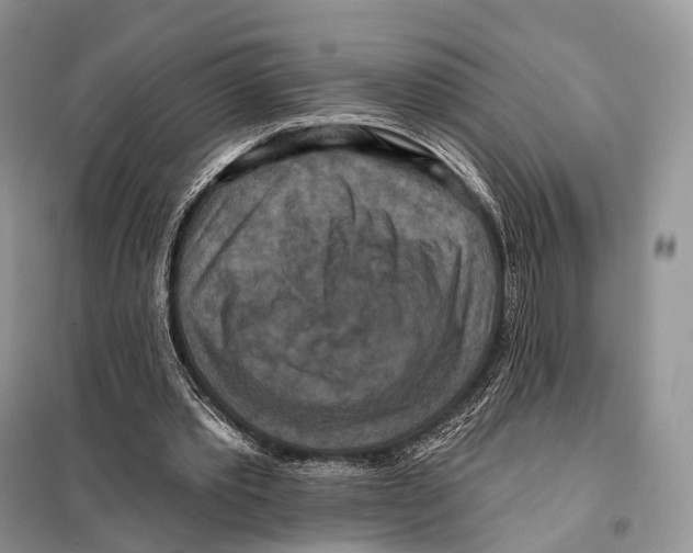 X0000097910389200804111119