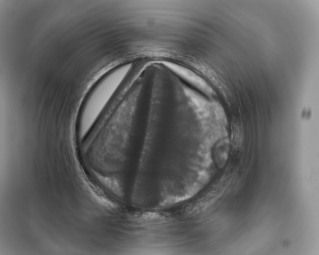 X0000097910390200804111119