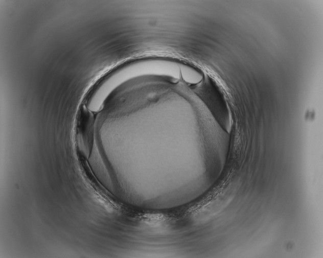 X0000097910391200804111119