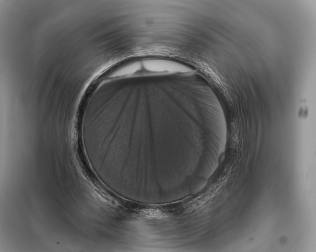 X0000097910392200804111119