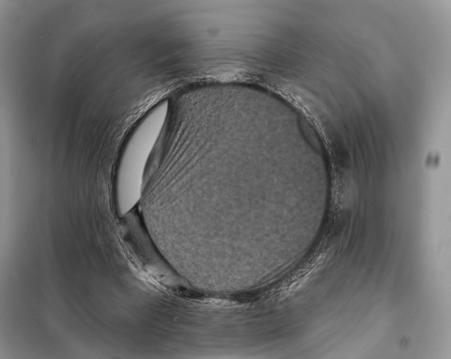 X0000097910393200804111119