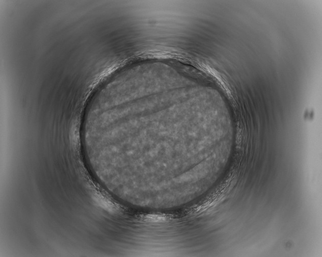 X0000097910394200804111119