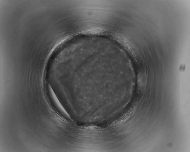 X0000097910396200804111119